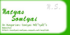 matyas somlyai business card